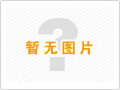 無(wú)刷減速剎車(chē)電機(jī)TCL2838-B-PG28